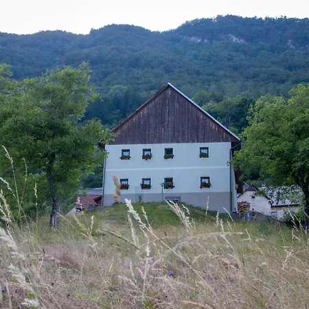 Hikers Hut Pr Blazu * Podbrdo