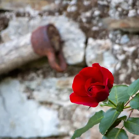 Hikers Hut Pr Blazu Homestay szállás *