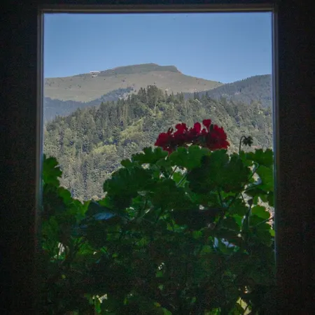 Hikers Hut Pr Blazu