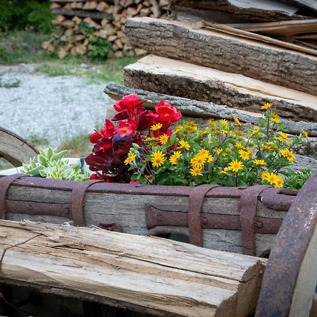 Homestay szállás Hikers Hut Pr Blazu