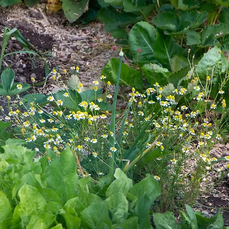 Hikers Hut Pr Blazu Ubytování v soukromí *