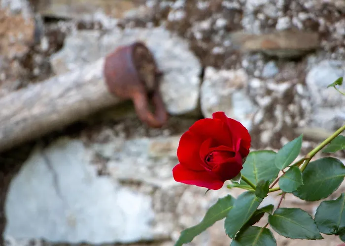 Hikers Hut Pr Blazu Privatunterkunft *