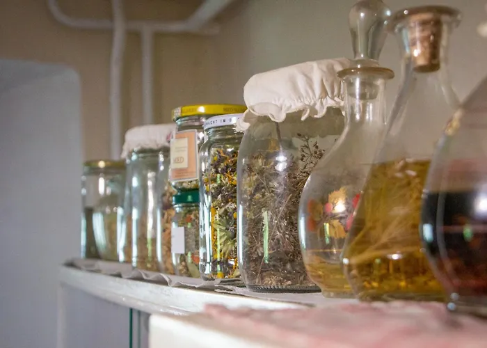 Hikers Hut Pr Blazu Podbrdo