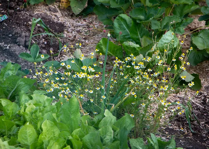 Hikers Hut Pr Blazu Privatunterkunft *